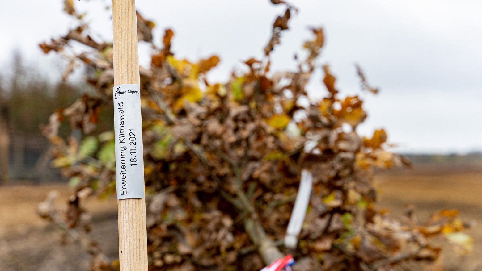 Pressetermin_Erweiterung_Hamburg_Airport_klimawald_kaltenkirchen